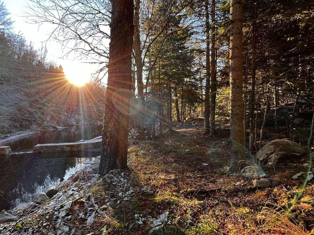 Swissotel Uludag Bursa Fasilitas foto